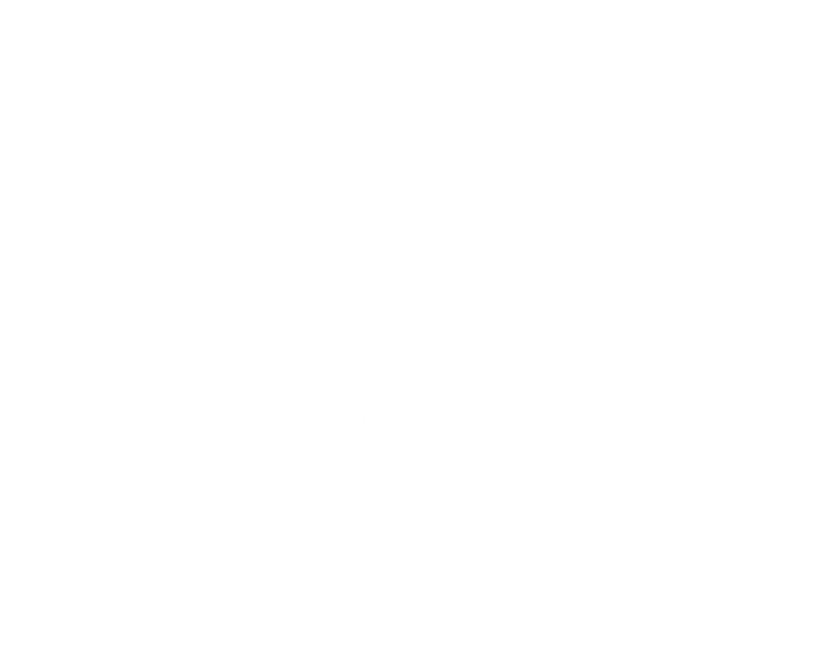 ELSALHY FOR IMPORTING AND TRADING AND INVESTMENT