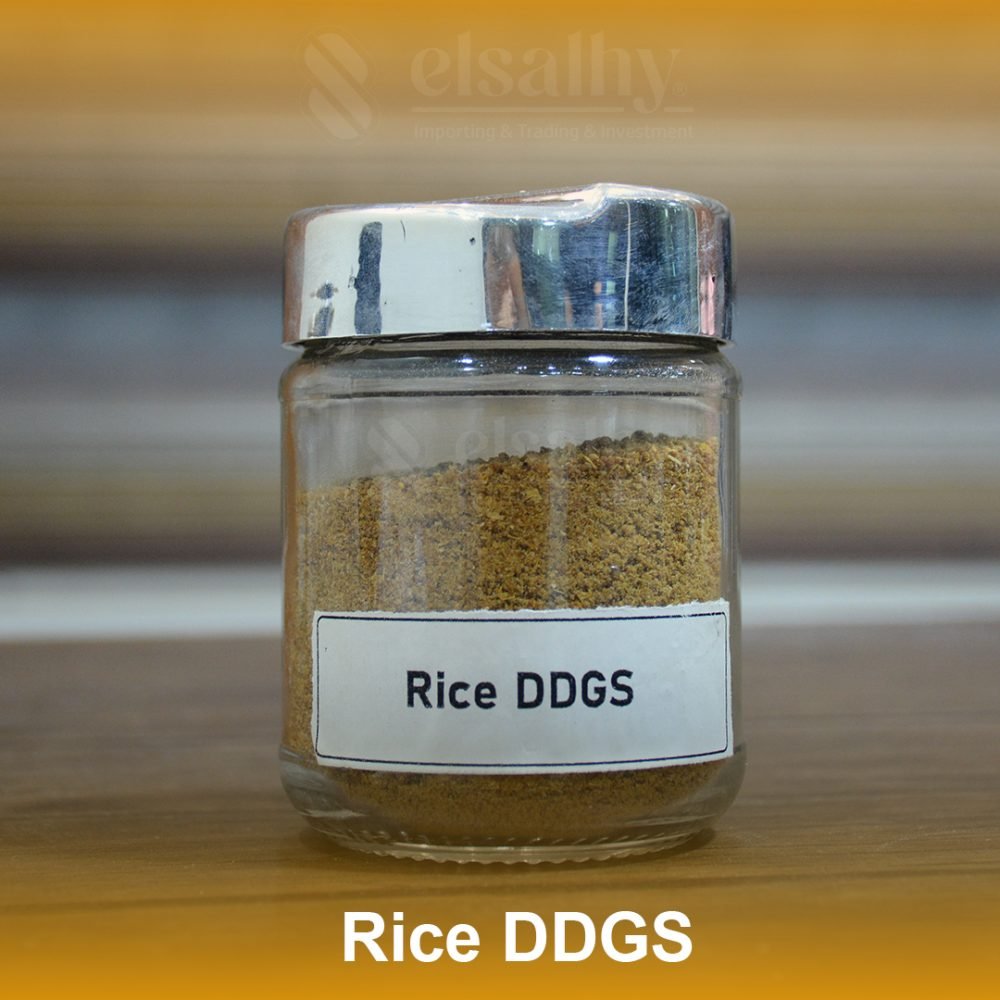 rice ddgs